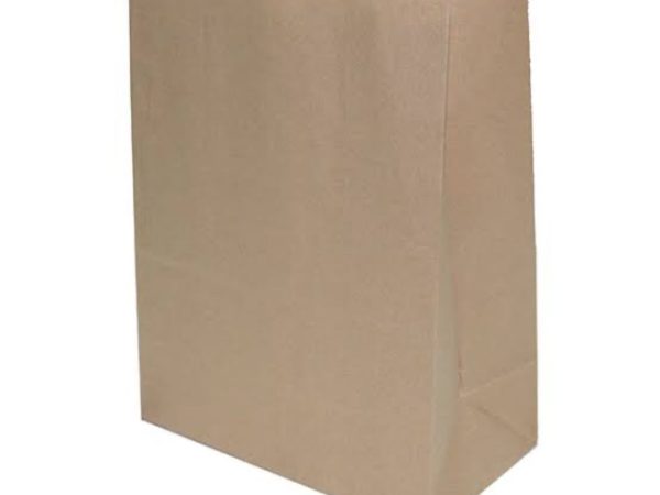 Paper Shopper Bag Size Large